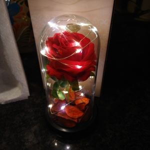 Beautiful beauty and the beast flower